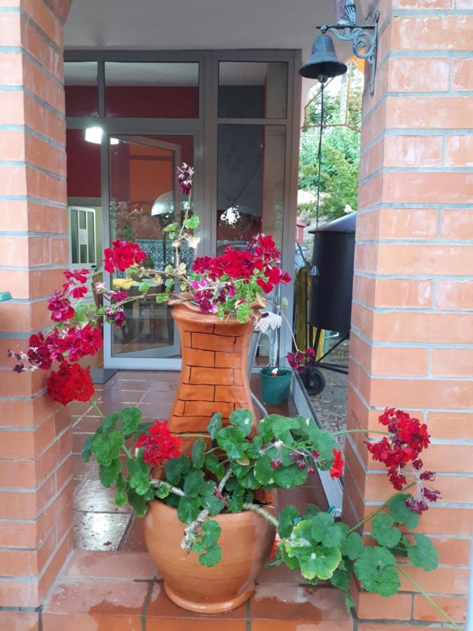 Quintinha dos Cedros Alfandega Da Fe Exterior foto